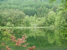 赤沼の河童が一夜で造った夜の池